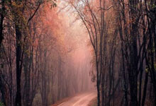 今晚美联储降息：流动性盛宴来临，比特币或重燃12万美元冲刺之火