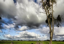 "技术武器竞赛：Web3的演进 vs Crypto的革命"