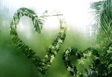 Visa 推出稳定币跨境支付试点，为企业汇款提供新方式Visa 推出稳定币跨境支付试点，为企业汇款提供新方式