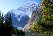 香港税务局：代币化 ETF 股份或单位买卖或转让均免征印花税